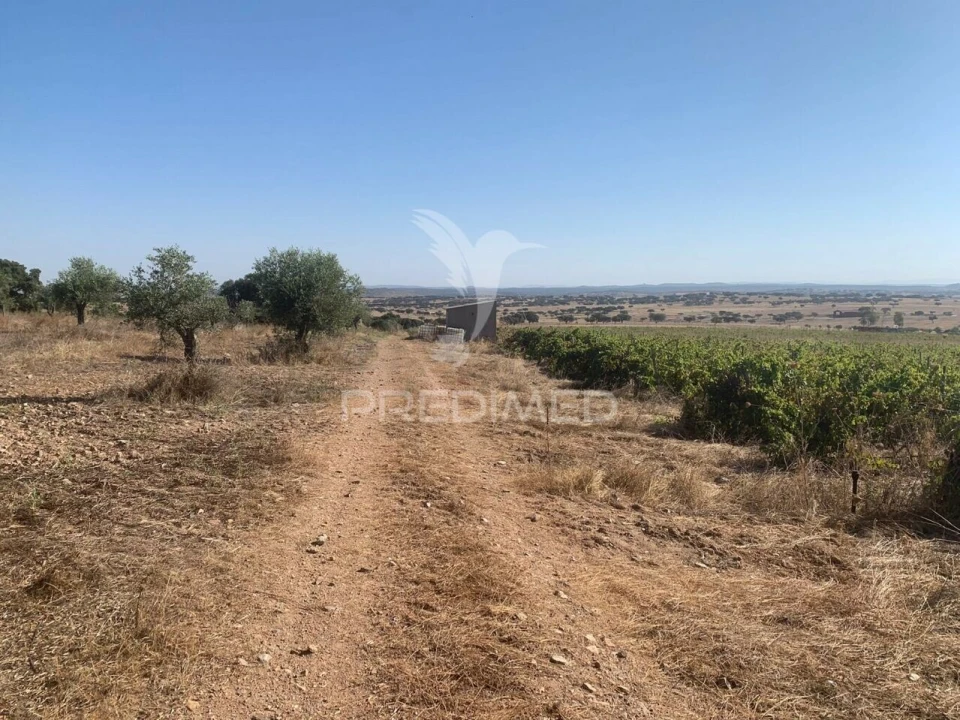 Terreno para Venda em Granja Foto 9