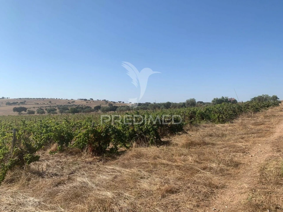 Terreno para Venda em Granja Foto 7