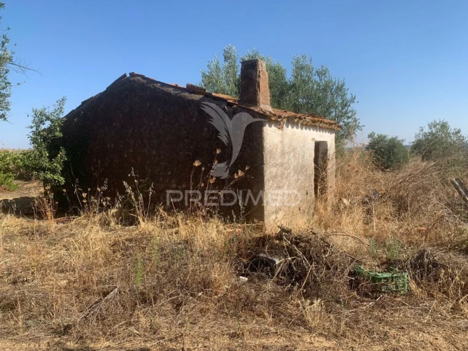 Terreno para Venda em Granja Foto 29