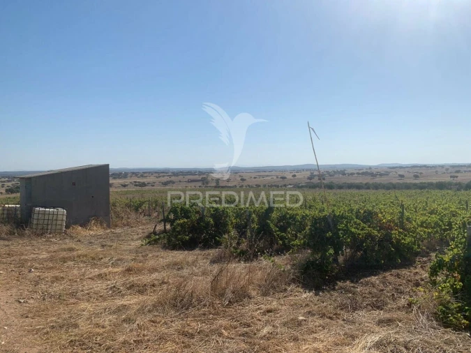 Terreno para Venda em Granja Foto 3