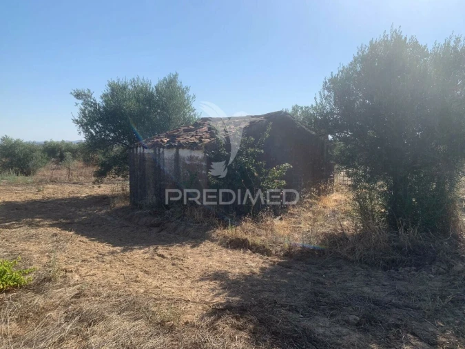 Terreno para Venda em Granja Foto 30