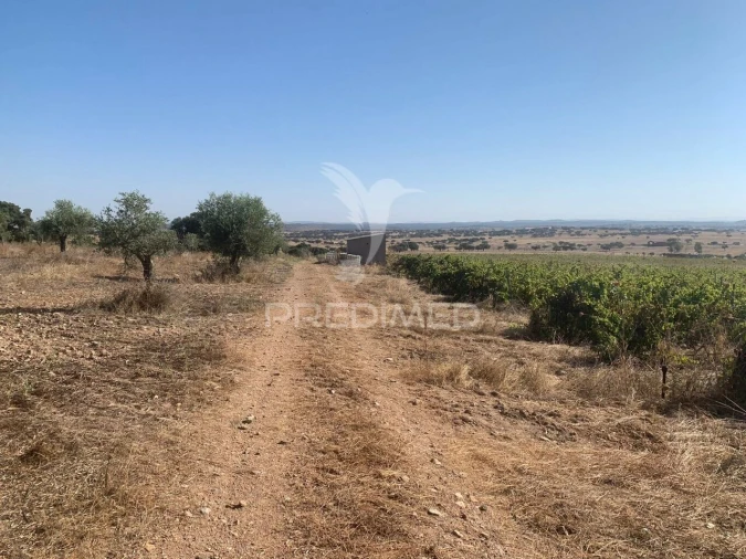 Terreno para Venda em Granja Foto 9