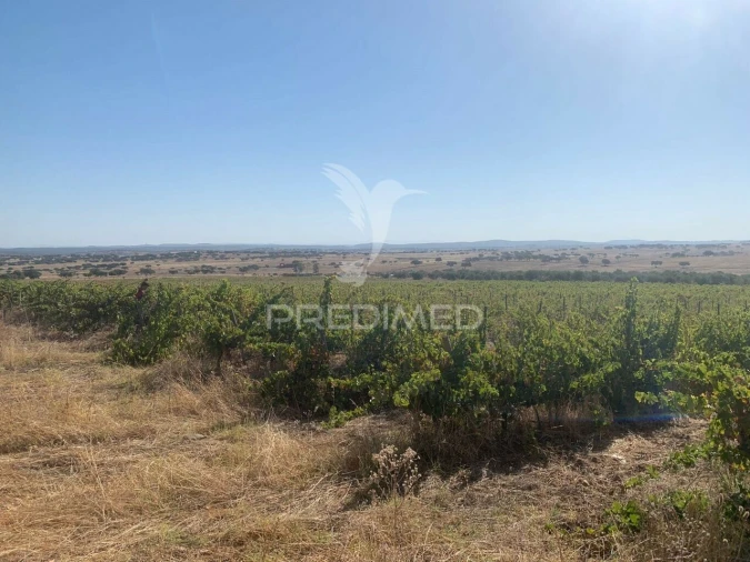 Terreno para Venda em Granja Foto 2