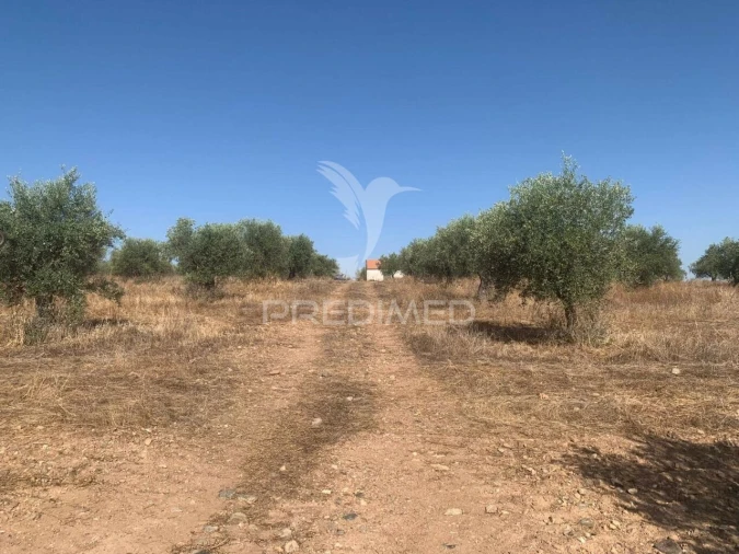 Terreno para Venda em Granja Foto 16