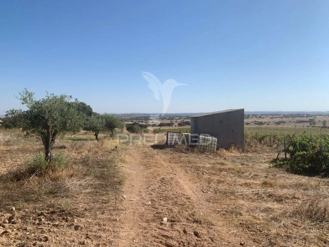 Terreno para Venda em Granja Foto 18