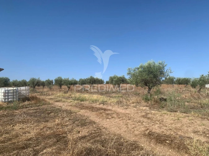 Terreno para Venda em Granja Foto 22