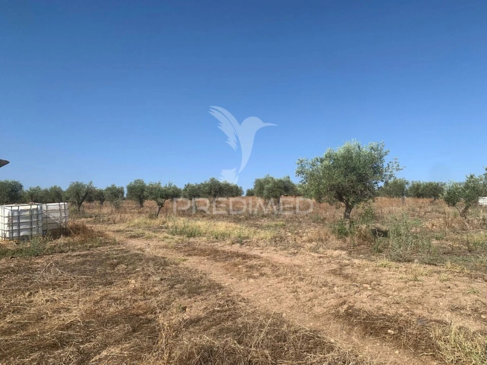 Terreno para Venda em Granja Foto 22