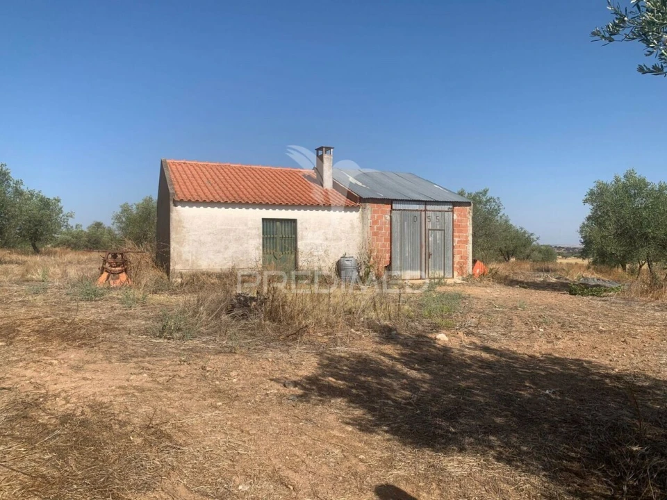 Terreno para Venda em Granja Foto 23