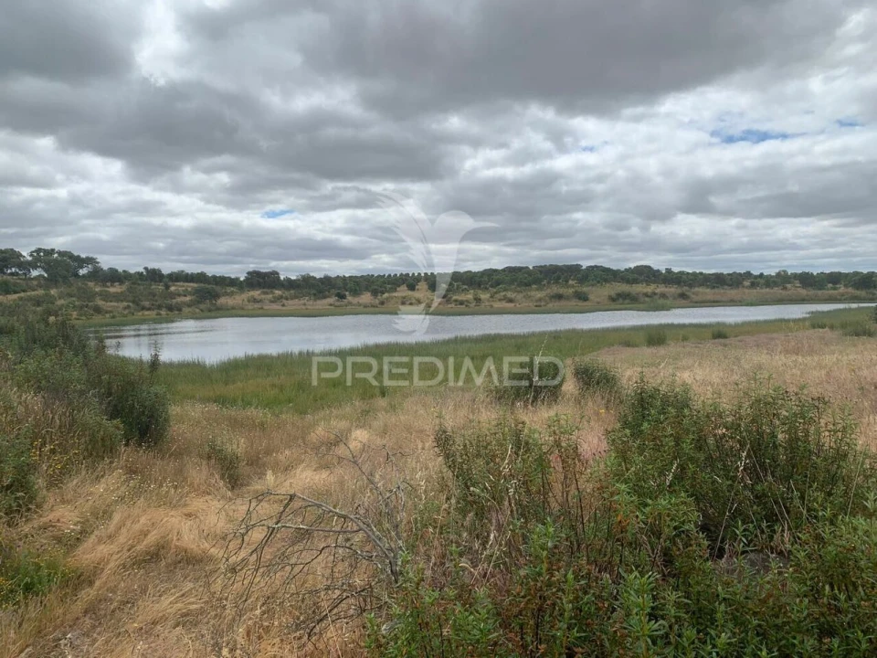 Quinta T0 para Venda em Rosario Foto 16