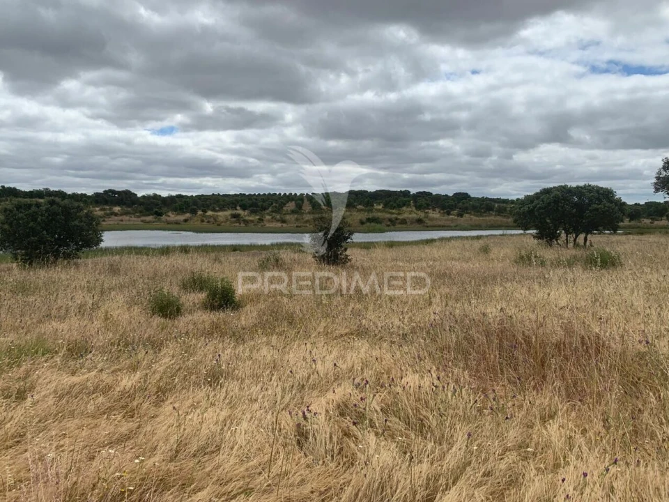 Quinta T0 para Venda em Rosario Foto 33