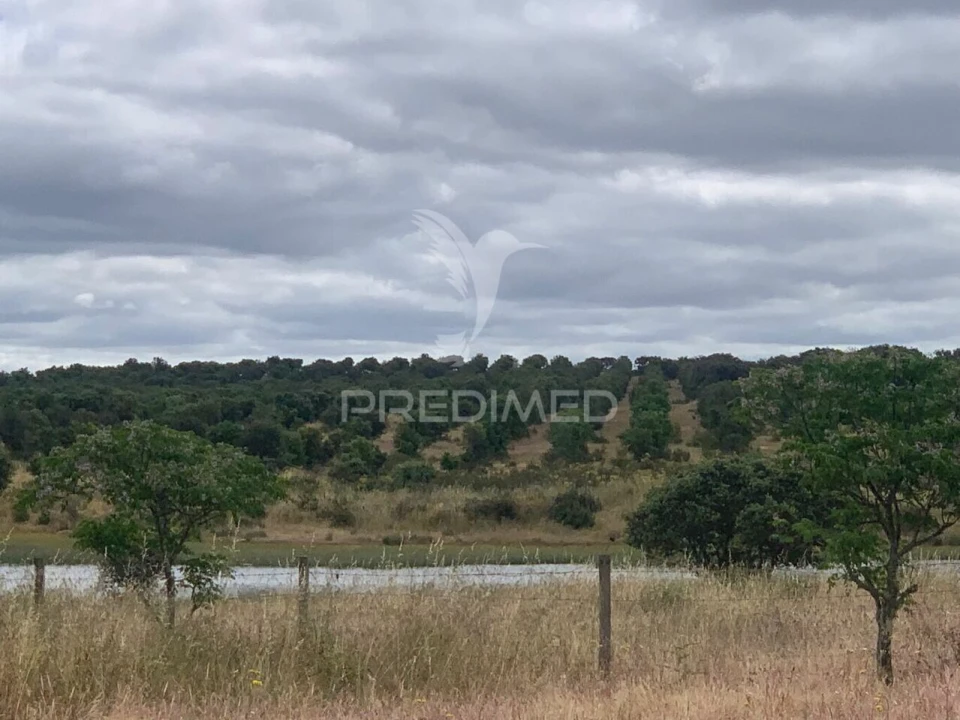 Quinta T0 para Venda em Rosario Foto 24