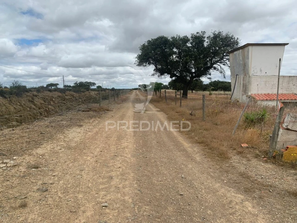 Quinta T0 para Venda em Rosario Foto 23