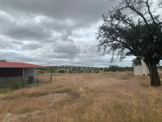 Quinta T0 para Venda em Rosario Foto 22