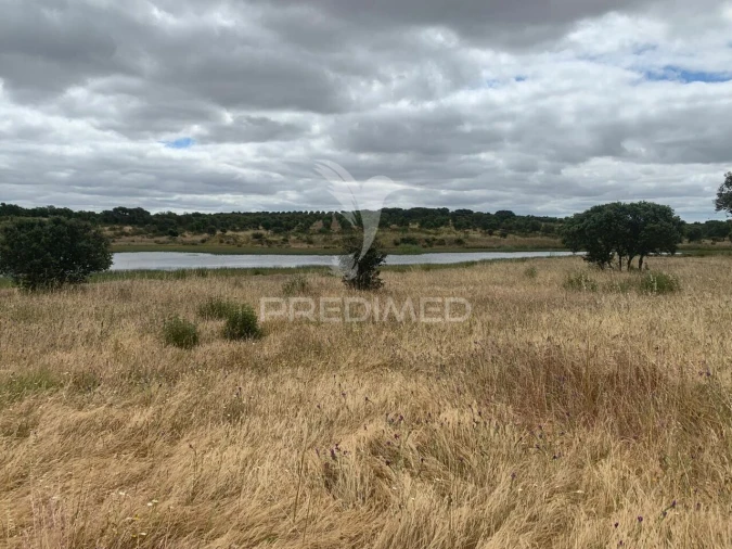 Quinta T0 para Venda em Rosario Foto 33