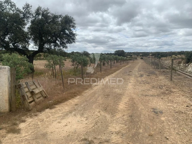 Quinta T0 para Venda em Rosario Foto 20