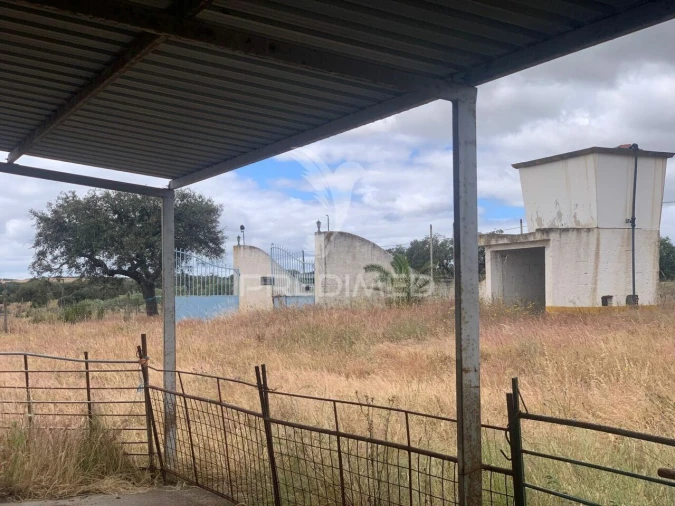 Quinta T0 para Venda em Rosario Foto 12