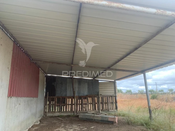 Quinta T0 para Venda em Rosario Foto 14