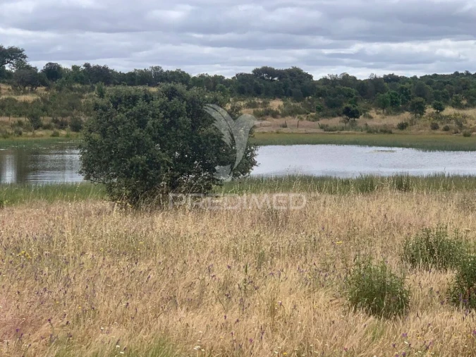 Quinta T0 para Venda em Rosario Foto 26