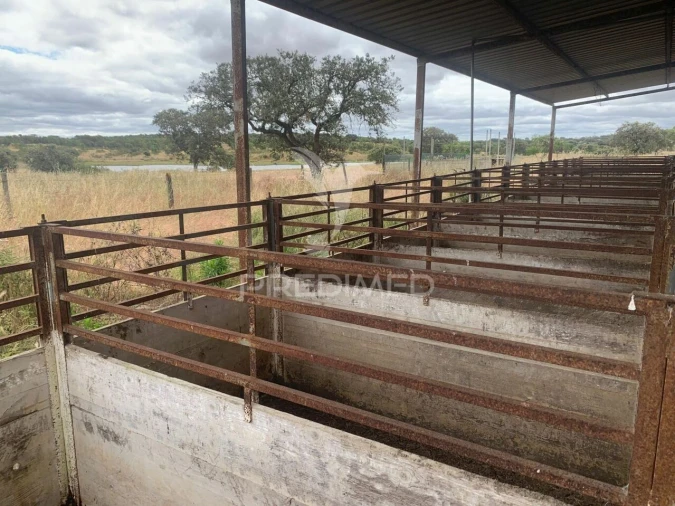 Quinta T0 para Venda em Rosario Foto 13