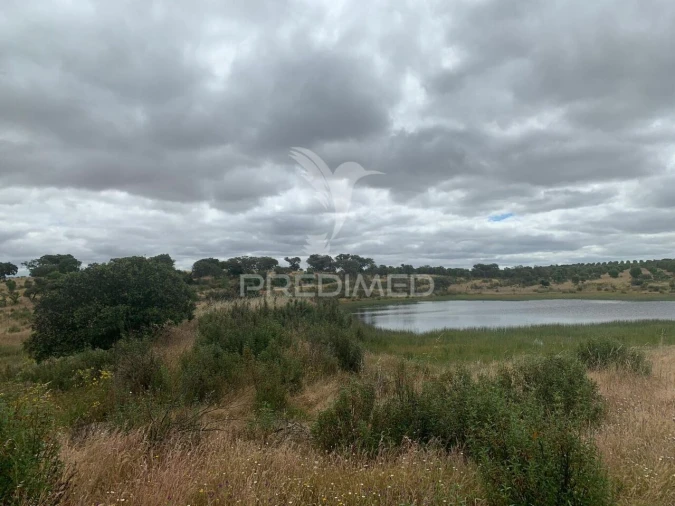 Quinta T0 para Venda em Rosario Foto 17