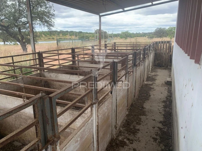 Quinta T0 para Venda em Rosario Foto 11