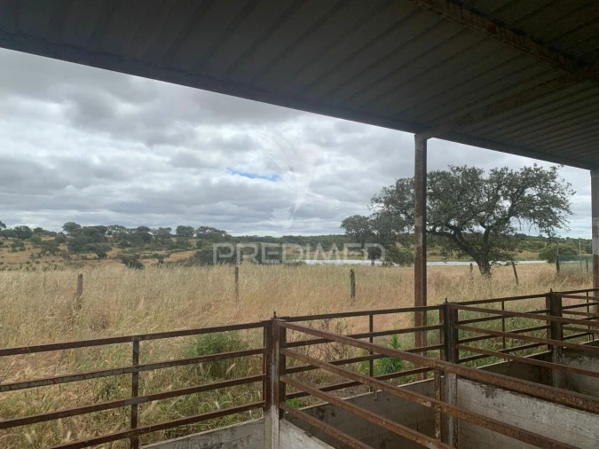 Quinta T0 para Venda em Rosario Foto 10