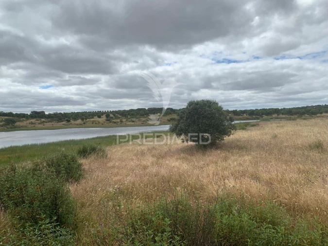 Quinta T0 para Venda em Rosario Foto 25