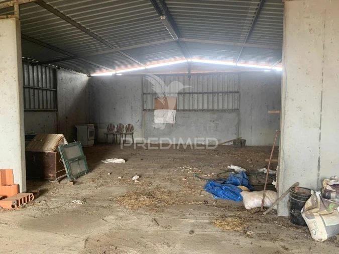 Quinta T0 para Venda em Rosario Foto 4