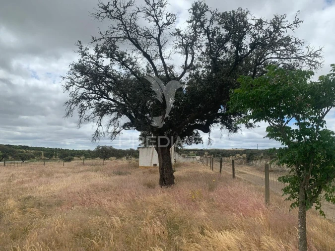 Quinta T0 para Venda em Rosario Foto 31