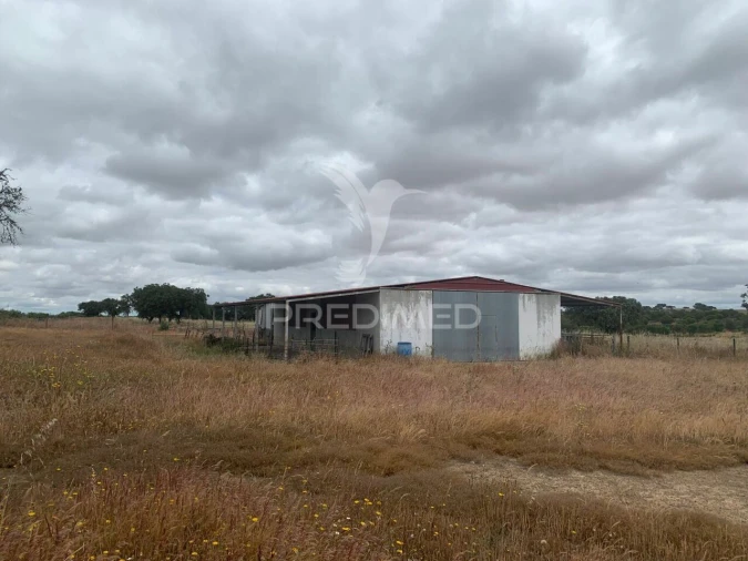 Quinta T0 para Venda em Rosario Foto 27