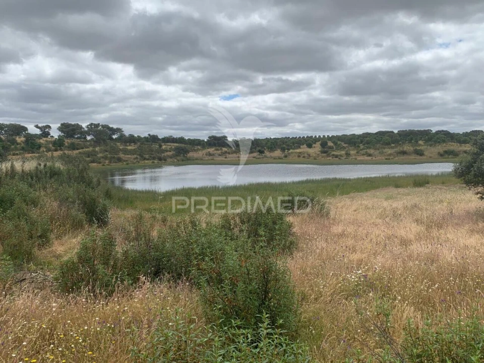 Quinta T0 para Venda em Rosario Foto 18