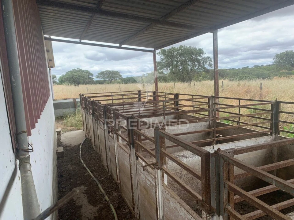 Quinta T0 para Venda em Rosario Foto 8