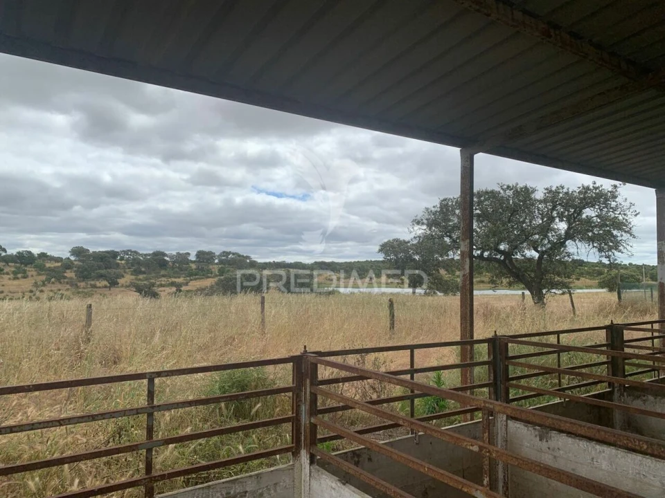 Quinta T0 para Venda em Rosario Foto 10