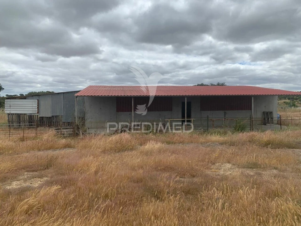 Quinta T0 para Venda em Rosario Foto 15