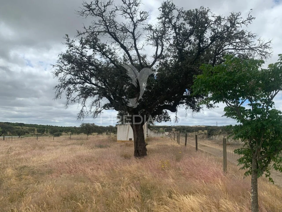 Quinta T0 para Venda em Rosario Foto 31