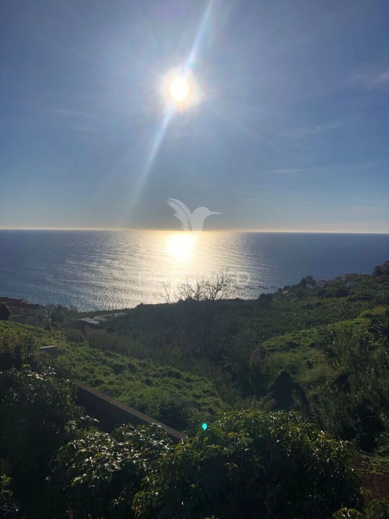 Moradia T3 para Venda em Calheta Foto 5