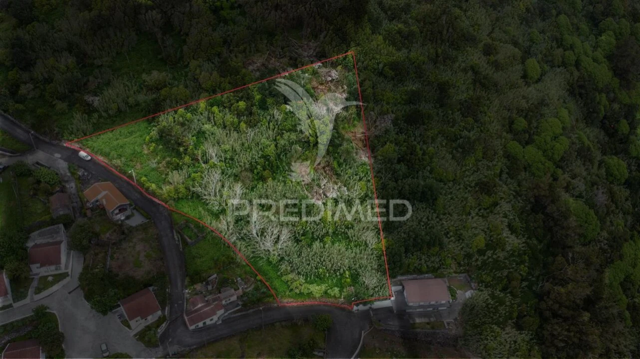 Terreno para Venda em Velas (São Jorge) Foto 9
