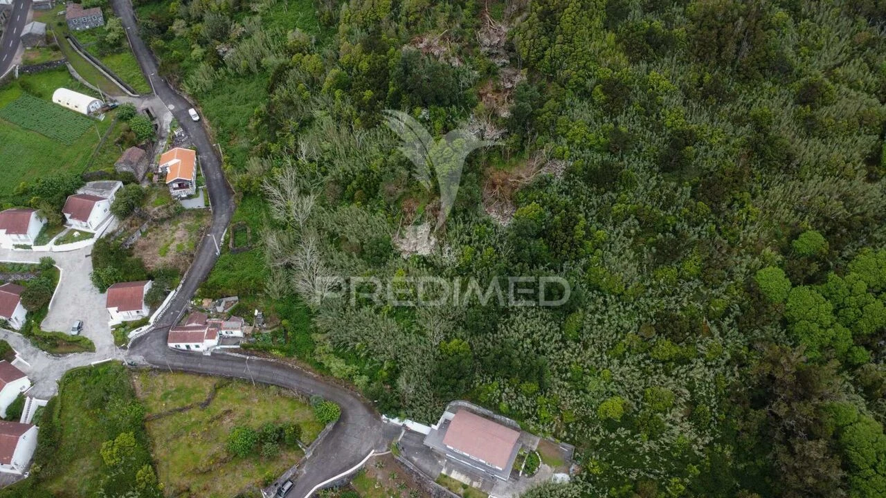 Terreno para Venda em Velas (São Jorge) Foto 1