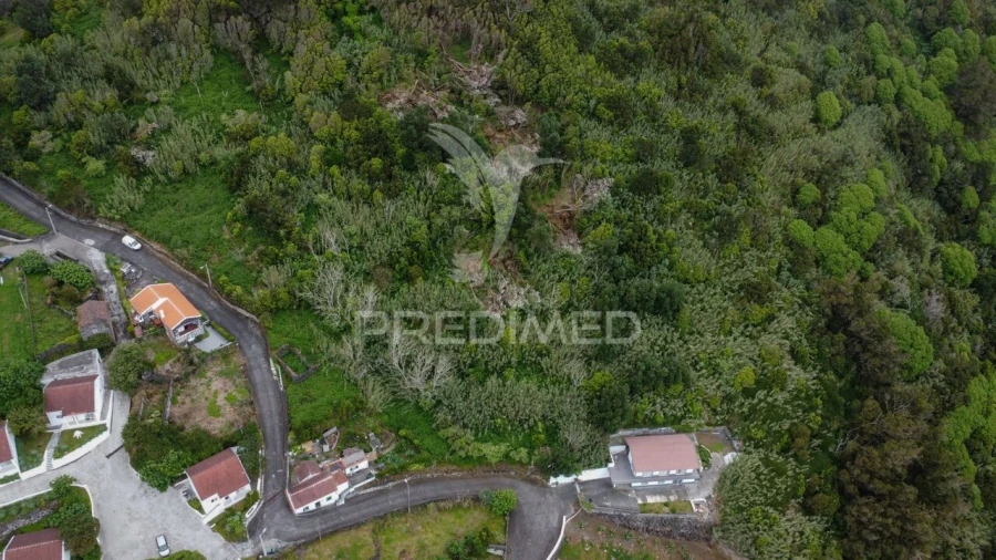 Terreno para Venda em Velas (São Jorge) Foto 2