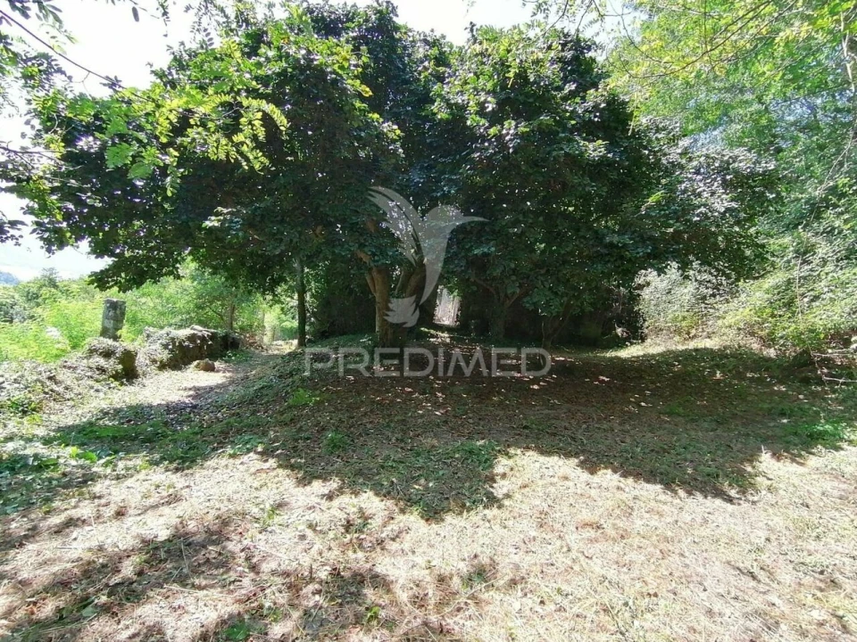 Quinta T7 para Venda em Penhalonga e Paços de Gaiolo Foto 22