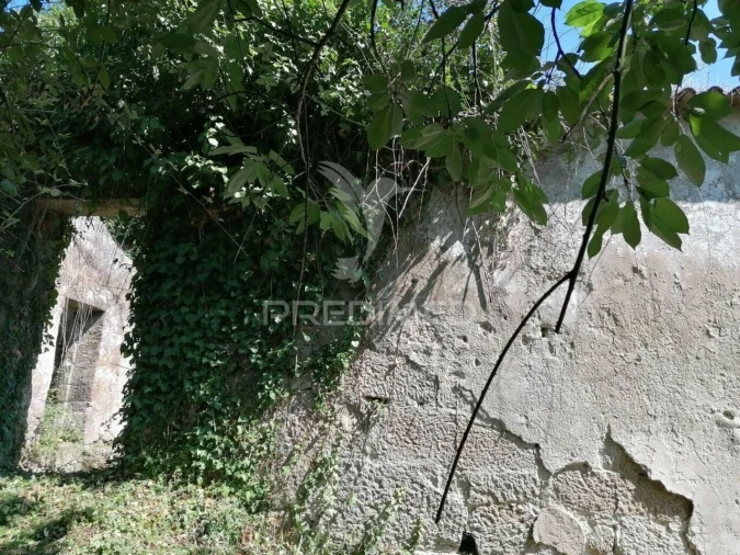 Quinta T7 para Venda em Penhalonga e Paços de Gaiolo Foto 28
