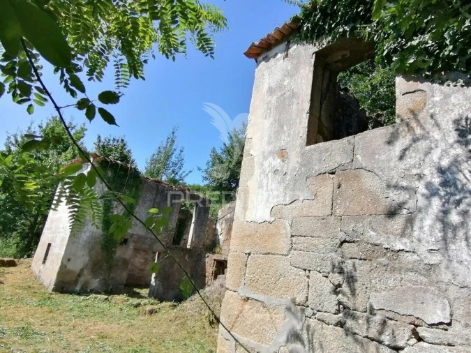 Quinta T7 para Venda em Penhalonga e Paços de Gaiolo Foto 24