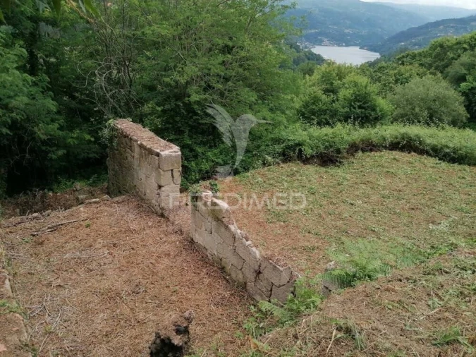 Quinta T7 para Venda em Penhalonga e Paços de Gaiolo Foto 6