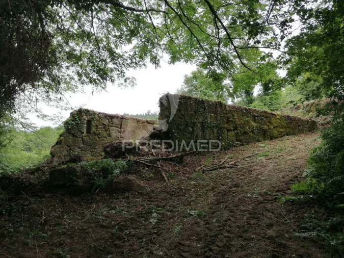 Quinta T7 para Venda em Penhalonga e Paços de Gaiolo Foto 9