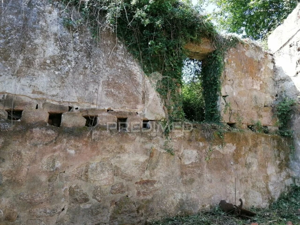 Quinta T0 para Venda em Penhalonga e Paços de Gaiolo Foto 20
