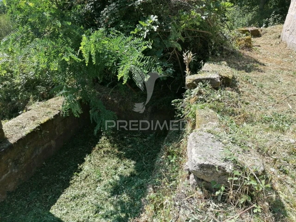 Quinta T0 para Venda em Penhalonga e Paços de Gaiolo Foto 23