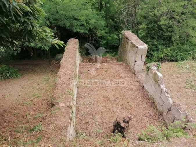 Quinta T0 para Venda em Penhalonga e Paços de Gaiolo Foto 32