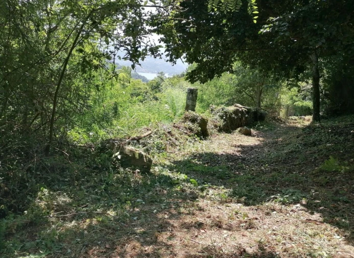 Quinta T0 para Venda em Penhalonga e Paços de Gaiolo Foto 30