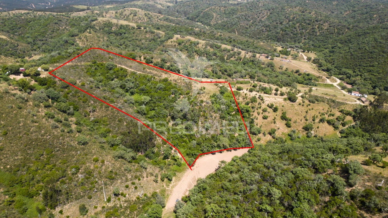 Quinta T3 para Venda em São Salvador e Santa Maria Foto 10