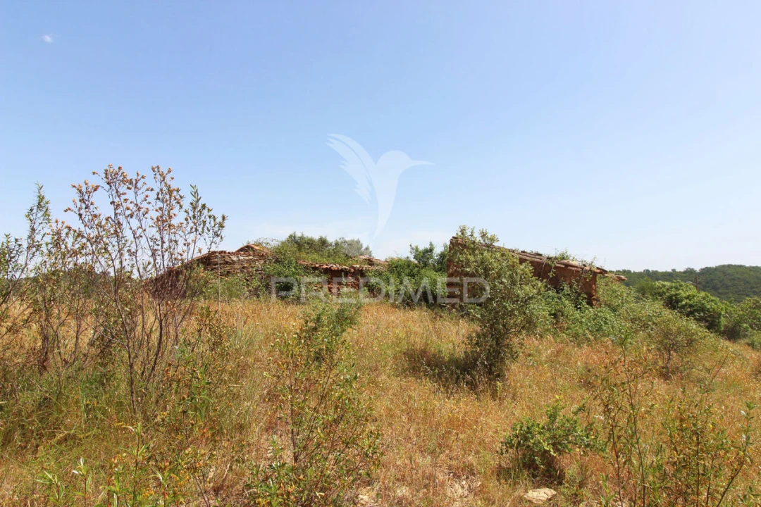 Quinta T3 para Venda em São Salvador e Santa Maria Foto 6